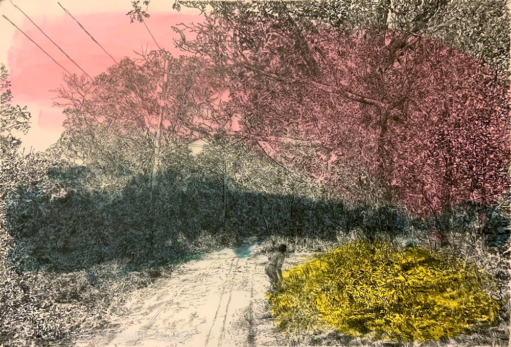  GULL POND WAY • 2019 • Pencil on Drafting Film over Acrylic and Gouache on Paper • 13 x 19 inches [33 x 48 cm] 