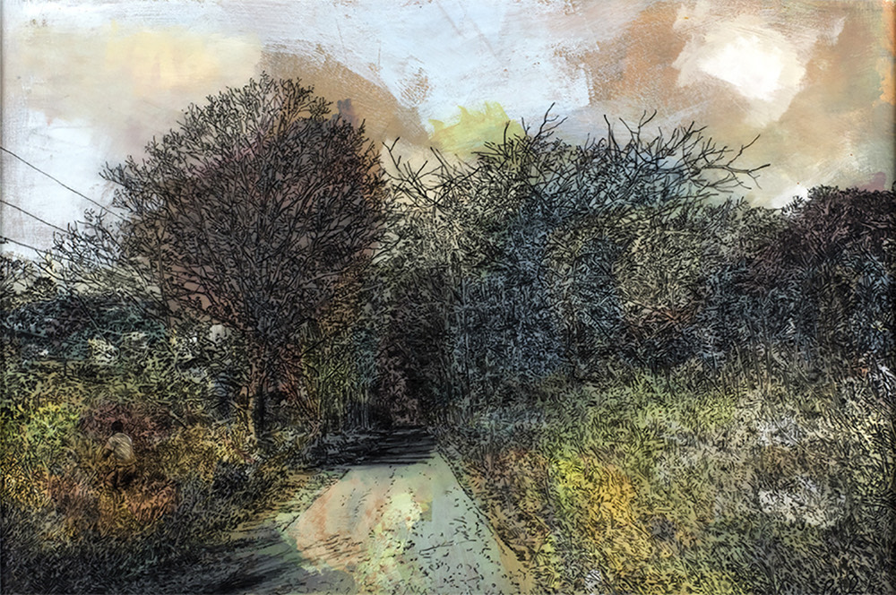  RED TREE • 2019 • Pencil on Drafting Film over Acrylic and Gouache on Paper • 13 x 19 inches [33 x 48 cm] • Private Collection, LA 