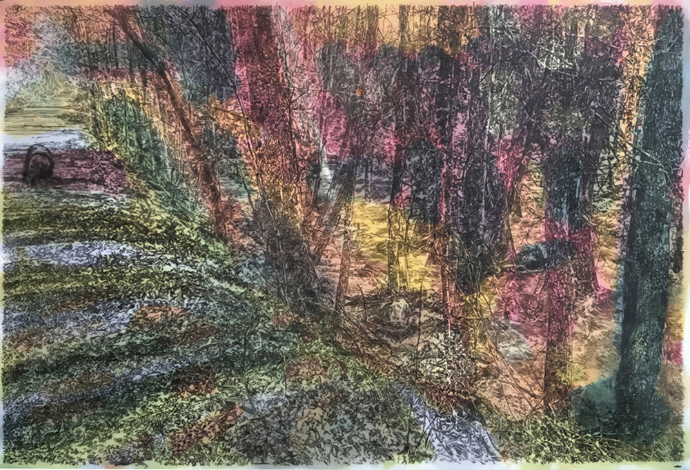  TWO RIVERS TRAIL • 2019 • Pencil on Drafting Film over Acrylic and Gouache on Paper • 13 x 19 inches [33 x 48 cm] 