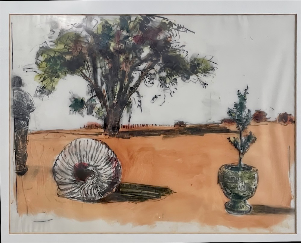  STUDY FOR SHELL • 2005 • Pencil & Acrylic on Vellum • 8.5 x 11 inches • Private Collection, Bernardsville, NJ 